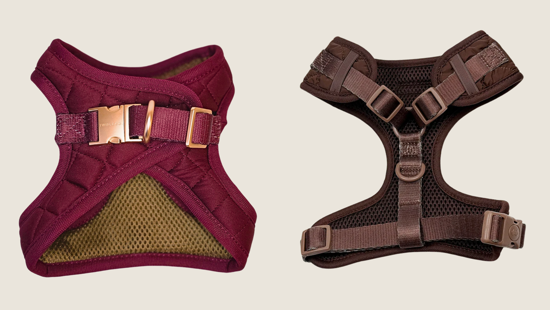 Comparison of a step-in dog harness and an over-the-head dog harness, highlighting differences in structure, fit, and ease of putting a harness on a dog.