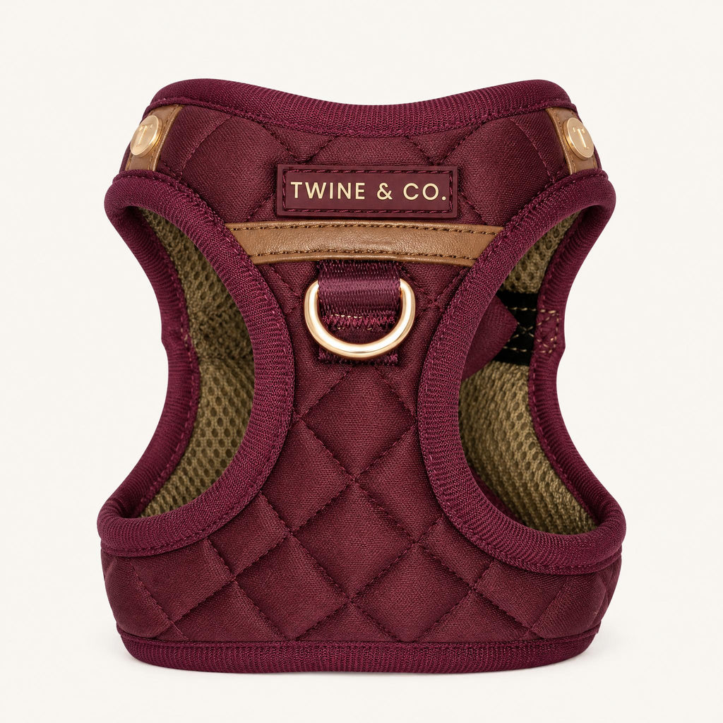 Signature Step-In Dog Harness