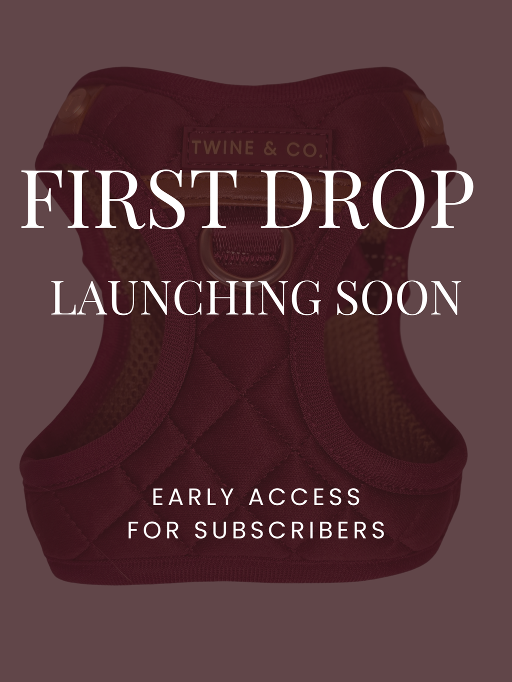 Signature Step-In Harness